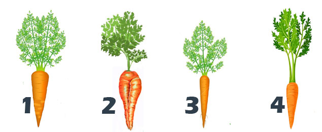 Тест - картинка: выбери морковь и узнай, как должен выглядеть твой принц